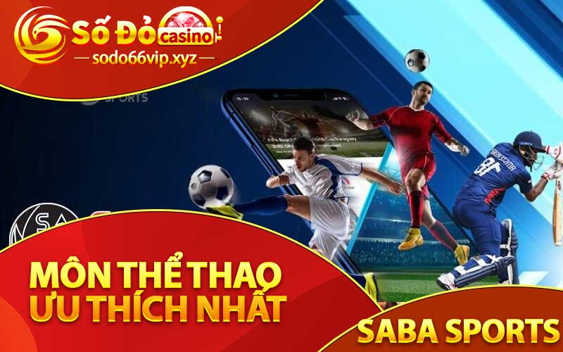 Các loại hình thể thao phổ biến