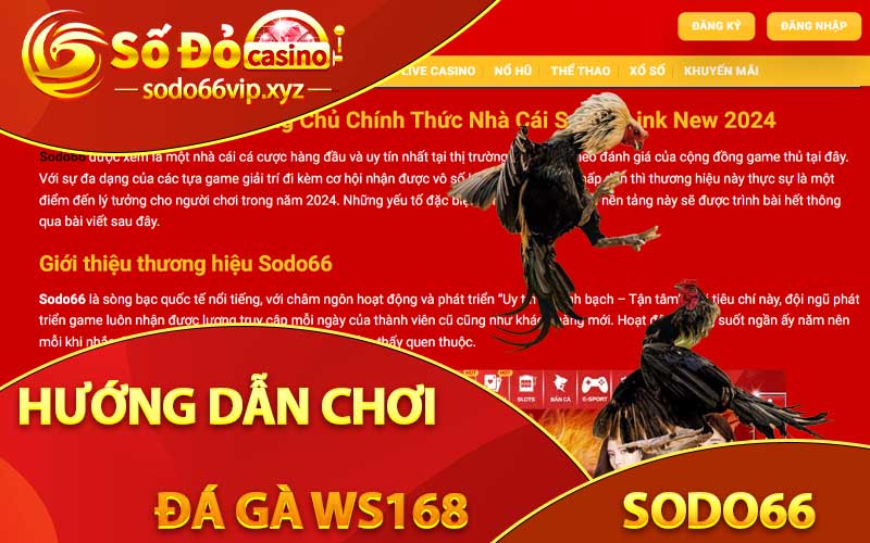 hướng dẫn chơi đá gà WS168